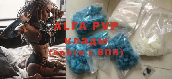 крисы Горняк