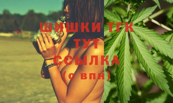 крисы Горняк