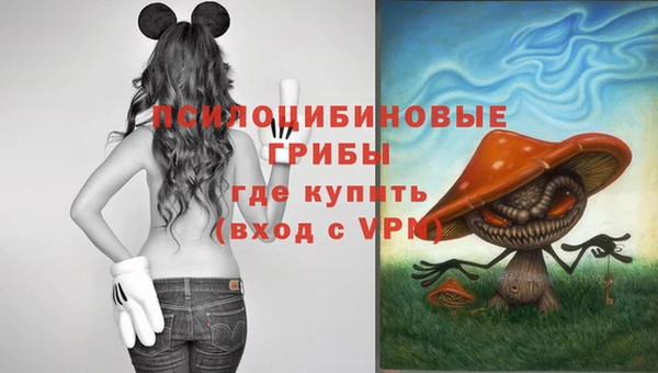 твердый Горно-Алтайск