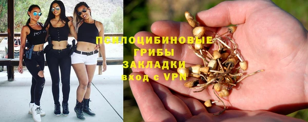 твердый Горно-Алтайск