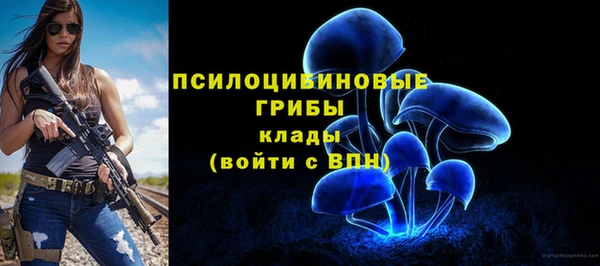 эйфоретик Вязьма