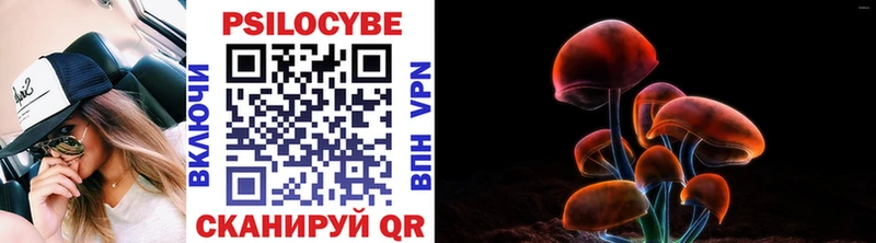Галлюциногенные грибы Psilocybine cubensis  Купить  Армавир 